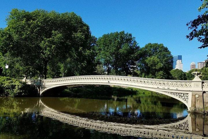 Visite privée en calèche de Central Park