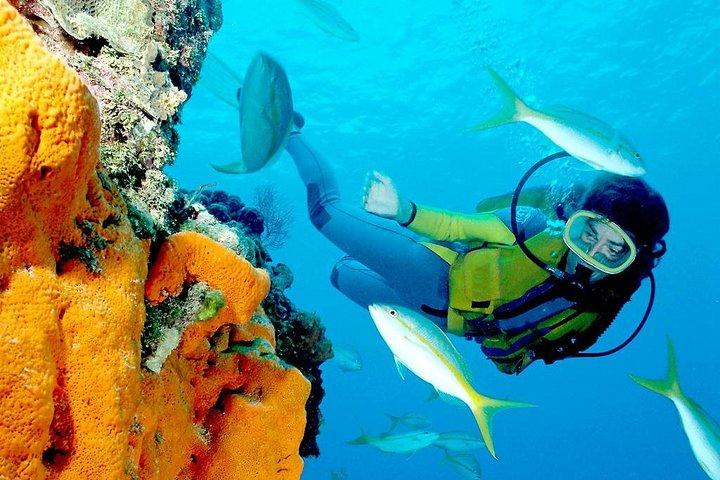 Excursion privée de plongée en apnée d'une journée sur l'île Utopia au départ de Louxor