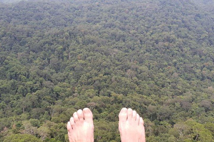 Sinharaja Rainforest Short Tour By Rainforest Expedition