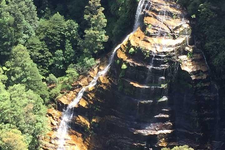 Blue Mountains Private Tour with Kangaroo and Koala Experience