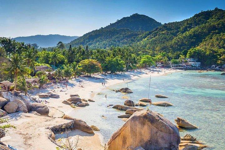 サムイ島からスピードボートで行くタオ島とナンユアン島でのシュノーケリングツアー