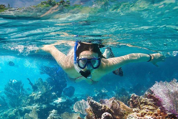 サムイ島からスピードボートで行くタオ島とナンユアン島でのシュノーケリングツアー
