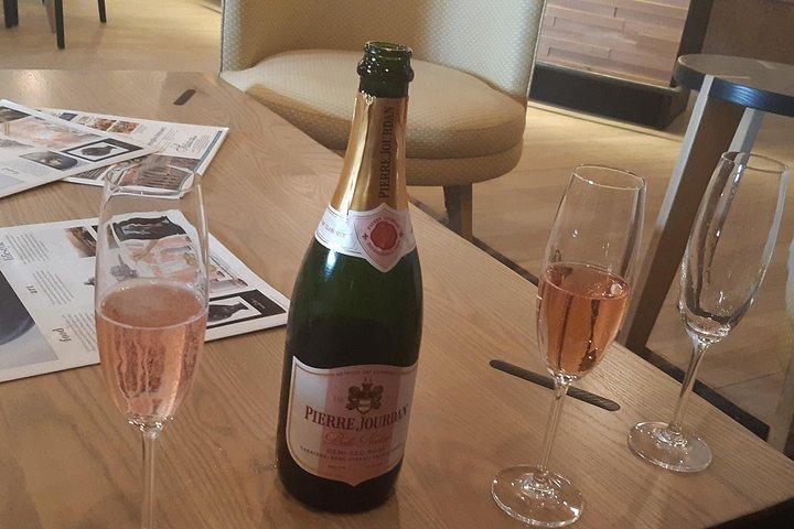 Stellenbosch、フランチークケープタウンワインランズツアー