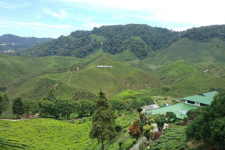 Recorrido turístico por las Tierras Altas de Cameron