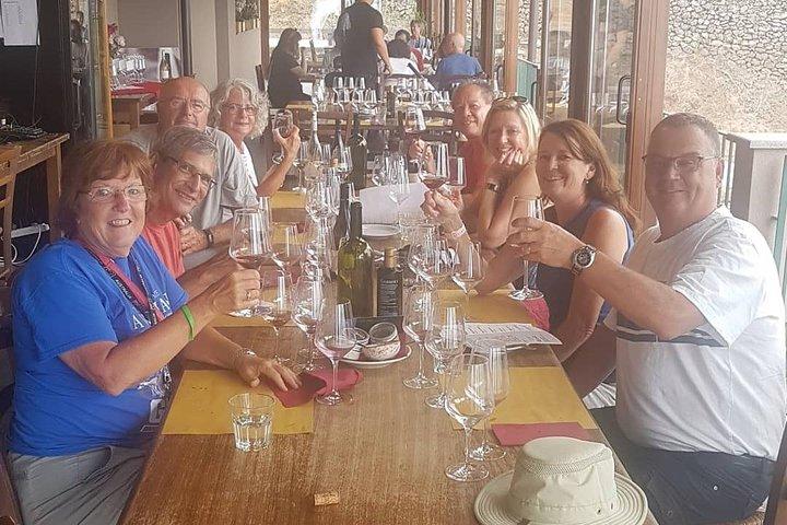Wine Experience e Taormina Tour saindo de Messina com van de luxo