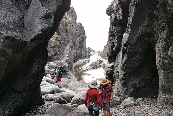 S. Jorge Van Tour - Día completo con actividades