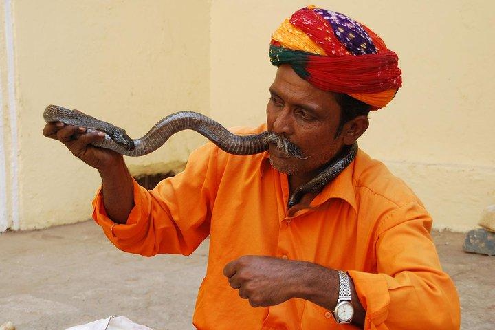 La mejor oferta de Golden Triangle Tour - India