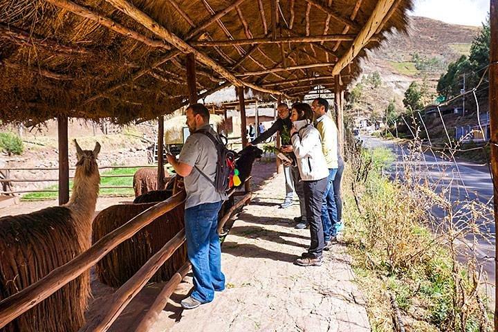 Excursão de dia inteiro no Vale Sagrado; Pisaq, Ollantaytambo e Chinchero