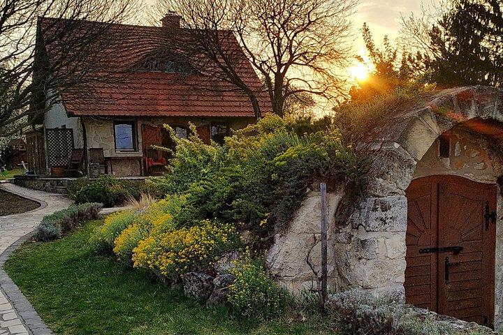Viaggio enologico ETYEK - A due passi da Budapest