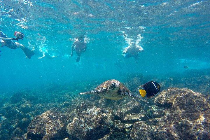 Pinzon Island and La Fe Snorkeling Day Trip