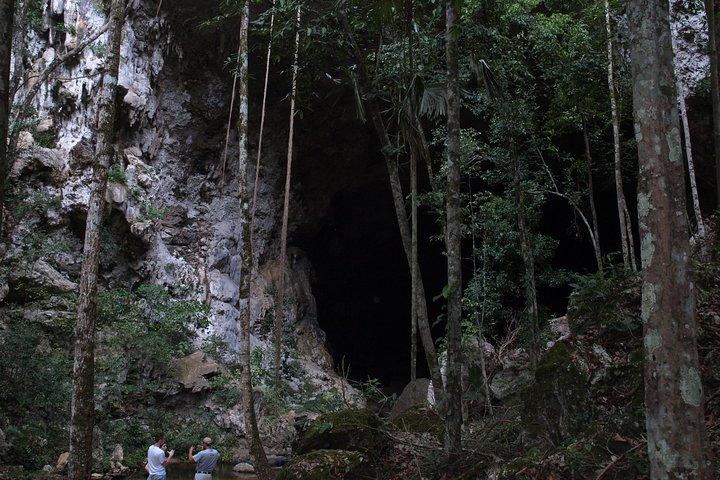 ランチ付きサンイグナシオからの1日マウンテンパインリッジツアー