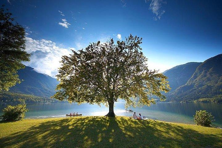 Ljubljana lufthavn - Lake Bled eller omvendt. Privat overførsel.