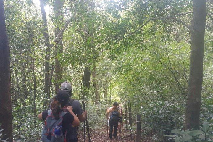 Tour privato di trekking ai templi del patrimonio mondiale