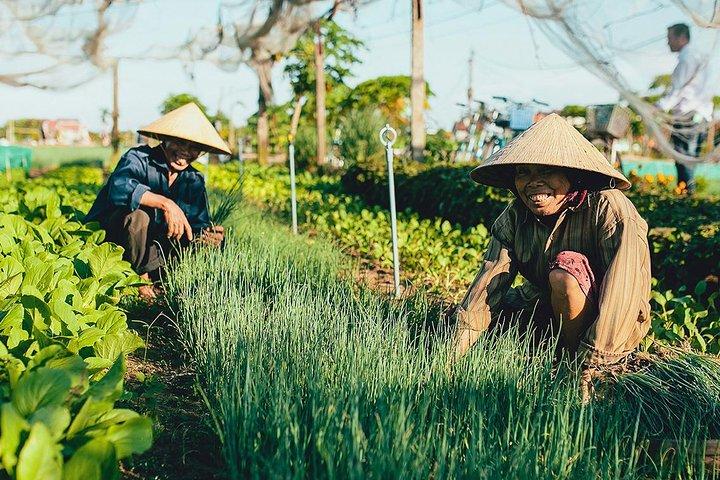 Tra Que Vegetable Village & Cooking Class