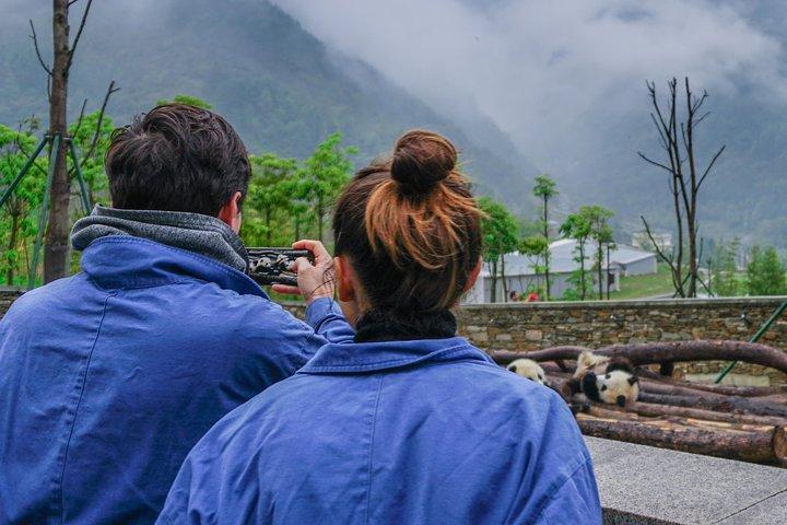 ベストパンダ基地でのより良いパンダボランティア体験 - WOLONG