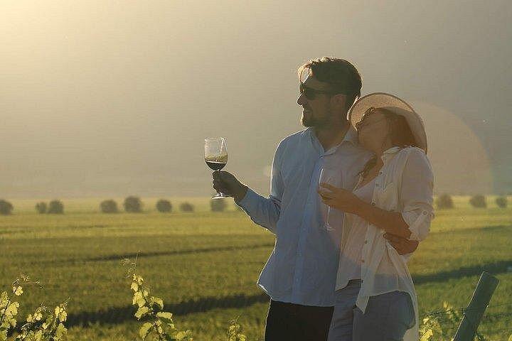 Private Tour in Luján de Cuyo