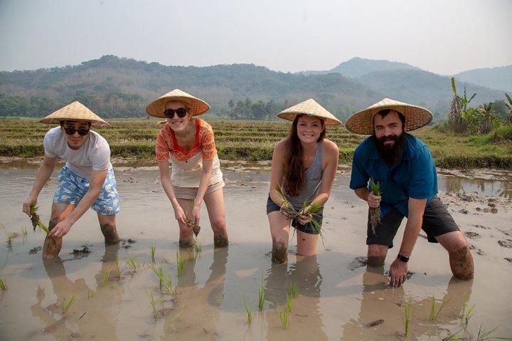 Luang Prabang : Tour en cascada y granja de arroz Kuang Si