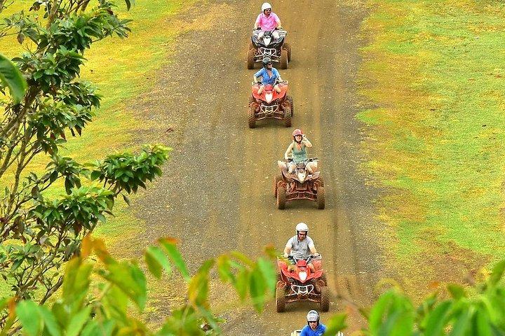 Visite en VTT de 2 heures et cascades + expérience chocolatée