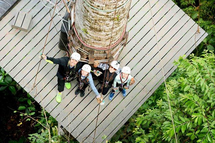 Ocean View Canopy Zip line + Chocolate Experience