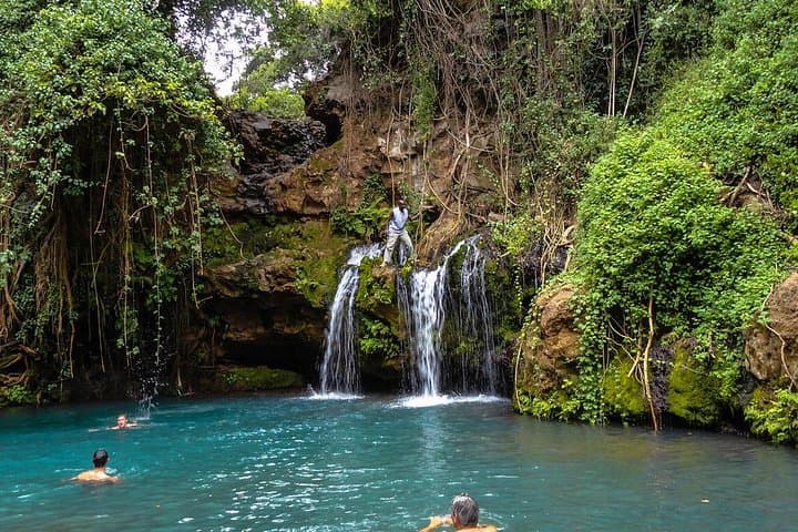 1 Day Ngare Ndare Forest From Nairobi by Jeep (minimum 2 Pax)