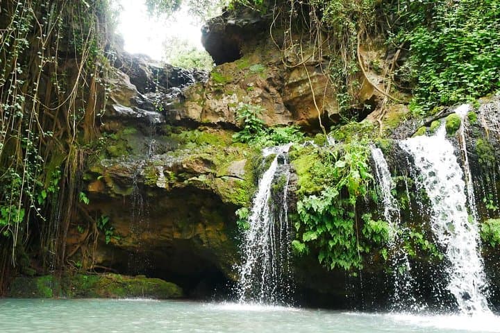1 Day Ngare Ndare Forest From Nairobi by Jeep (minimum 2 Pax)