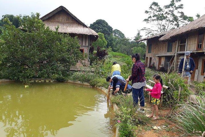 Local Market Tour and Private Cooking Class