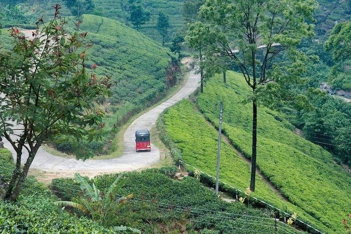 Natuur- & cultuurtour door Kandy