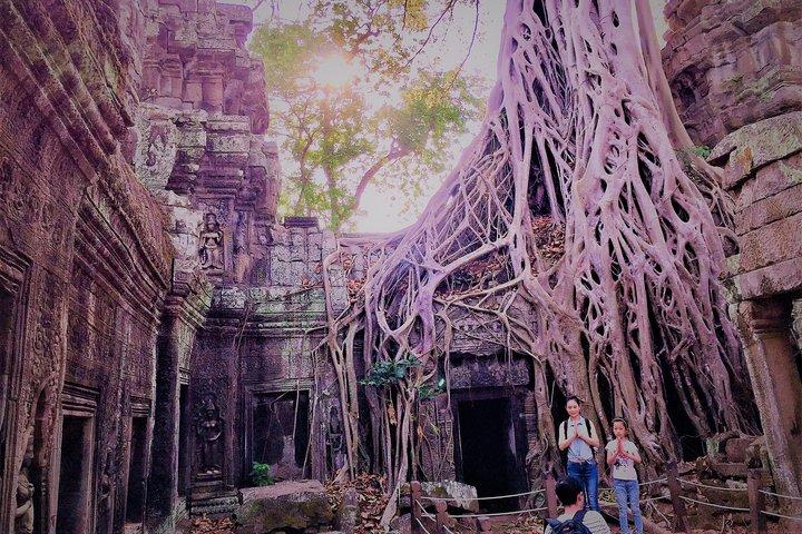 Tour privado de Angkor Wat desde Siem Reap