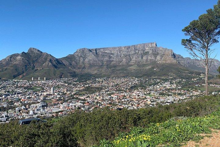 From Cape Town: Table Mountain, Kirstenbosch & Wine Tasting
