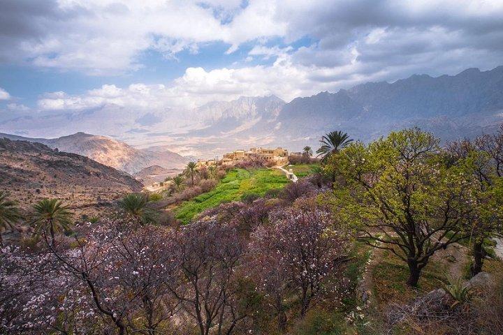 Salalah East & West Combination (Salalah turer): Oman Shore utflykter