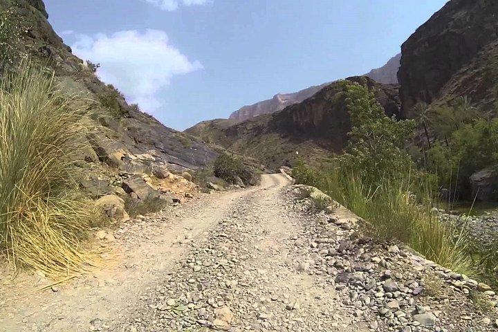 Wadi Sahtan (Dagtur) 4WD Mandoos-Oman bryst