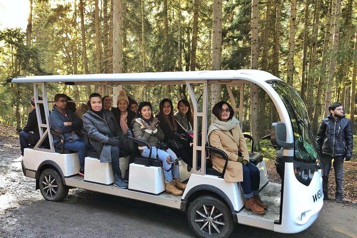 Uplistsikhe and Borjomi - Private Tour
