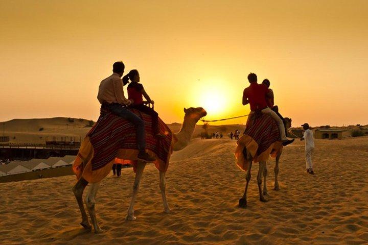 Safari mattutino premium nel deserto in veicolo privato 4x4 fino a 6 persone
