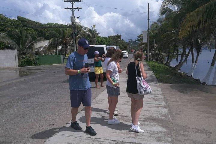 Inselrundfahrt auf Roatan