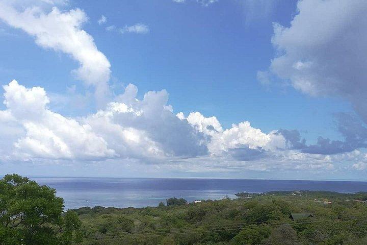 Inselrundfahrt auf Roatan