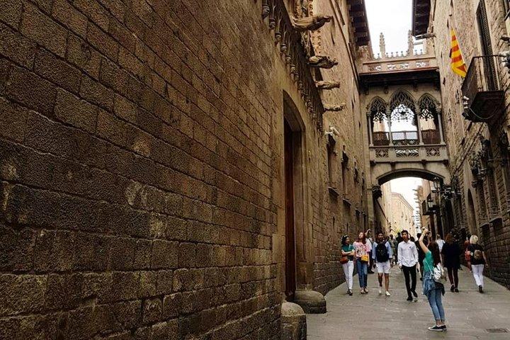 Tour a piedi del quartiere gotico di Barcellona + Cattedrale