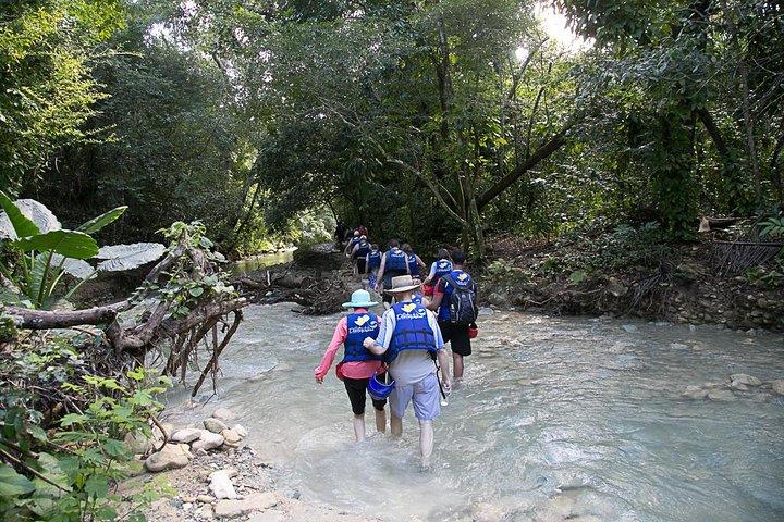 Rainforest Trek to Natural Pool - Taino Bay & Amber Cove ports
