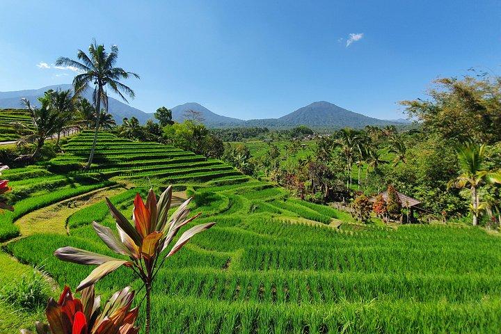 Solo or Group Tour - 10 Hours, 5 Persons Max