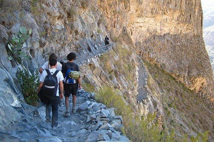 Colca Canyon Trekking Spectacular 2d/1n