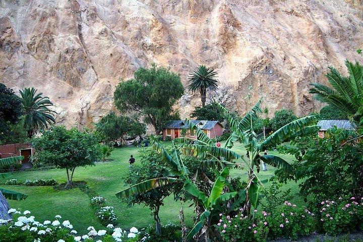 Colca Canyon Trekking Spectacular 2d/1n
