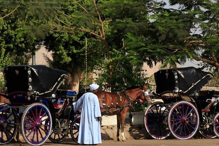 Paardenkoets in Aswan