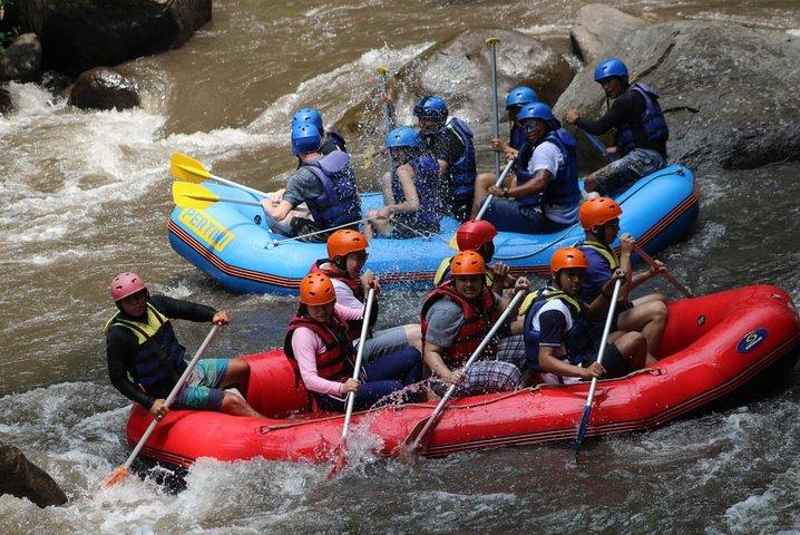 Ubud Green Rafting billet og transfer