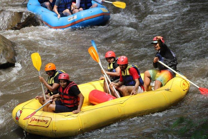 Ubud Green Rafting billet og transfer
