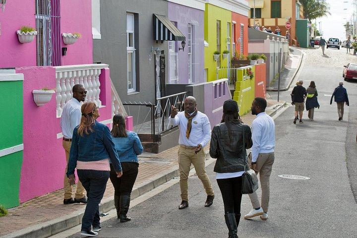 Tour di mezza giornata a Città del Capo con biglietto per Table Mountain