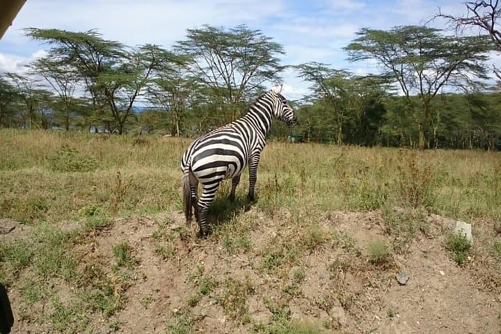 Tour Nairobi National Park