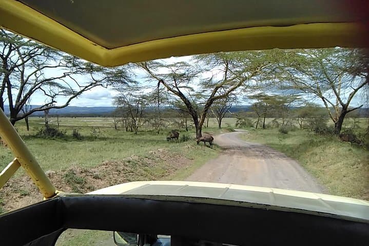 Tour Nairobi National Park