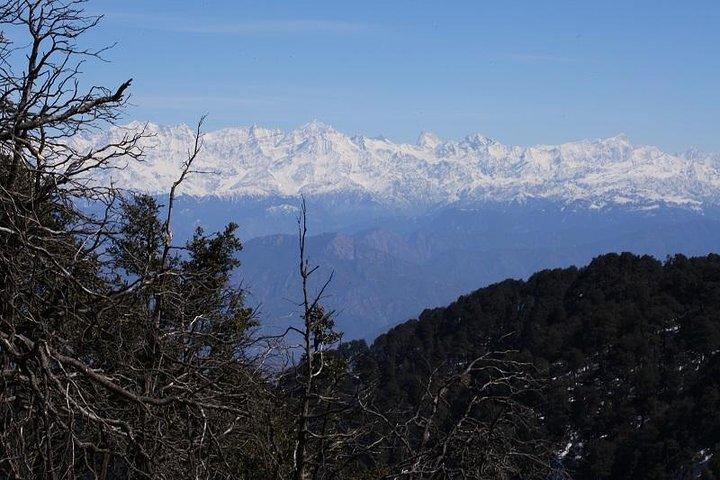 Naag Tibba Trek
