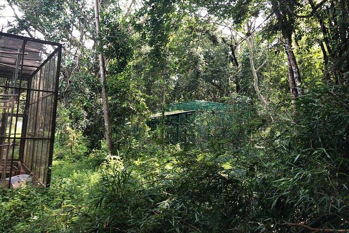 ホーチミン：キャットティエン国立公園野生動物アドベンチャー2D1N