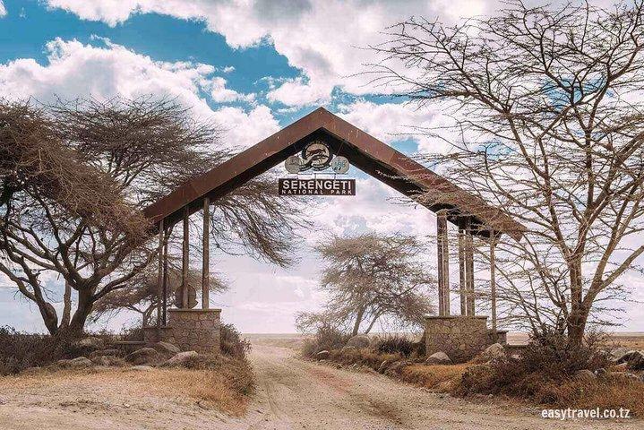 6 días 5 noches de safari en los Parques Nacionales Ngorongoro, Serengeti y Tarangire