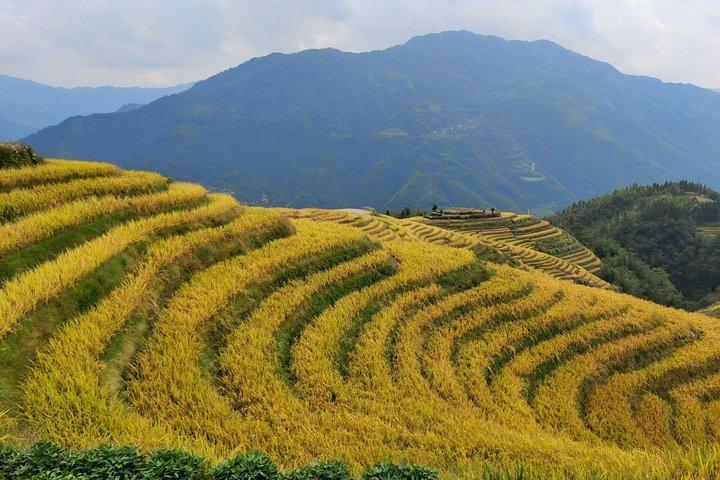 Excursão diurna aos terraços de arroz Longji saindo do hotel Guilin